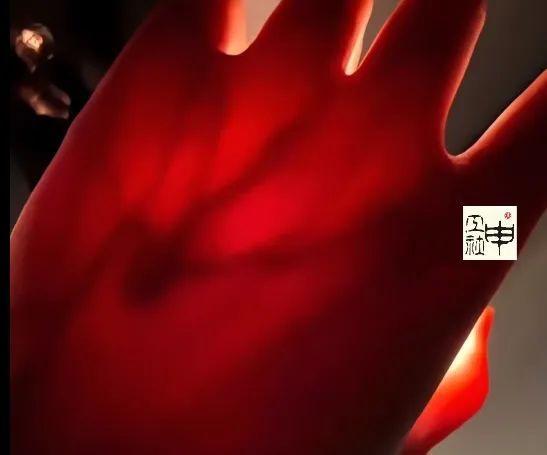 女生晒电筒照手图被网友发现不对劲！检查后